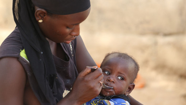 Sénégal : quand sécurité alimentaire rime avec autonomisation de la femme Sénégal : quand sécurité alimentaire rime avec autonomisation de la femme