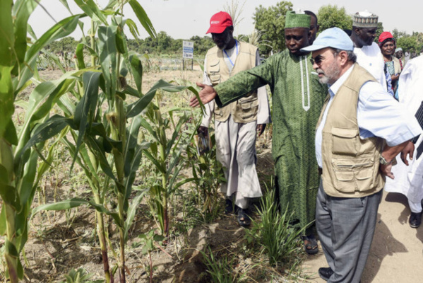 Bassin du lac Tchad : La FAO préconise des investissements dans l'agriculture Bassin du lac Tchad : La FAO préconise des investissements dans l'agriculture