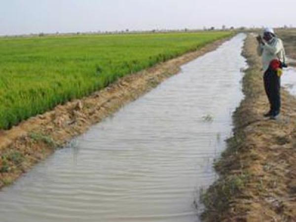 Aménagements des terres : L’Agence d’aménagement des terres valide un programme de 250 milliards Aménagements des terres : L’Agence d’aménagement des terres valide un programme de 250 milliards