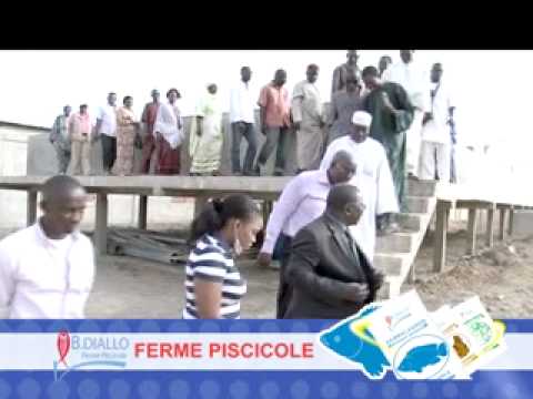 Don de la  Ferme Piscicole Boubacar Diallo : 100.000 alevins d’une valeur de 13 millions de FCFA  au Ministère de l’Elevage et de la Pêche