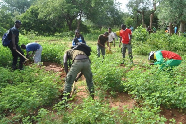 Plan National d’investissement forestier : Les experts en conclave à Bamako pour sa validation Plan National d’investissement forestier : Les experts en conclave à Bamako pour sa validation