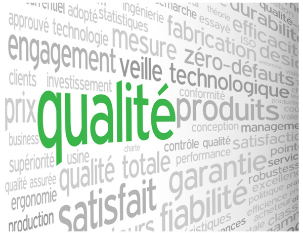 Enseignement : Le gouvernement valide la création de l’Agence d’Assurance Qualité Enseignement : Le gouvernement valide la création de l’Agence d’Assurance Qualité