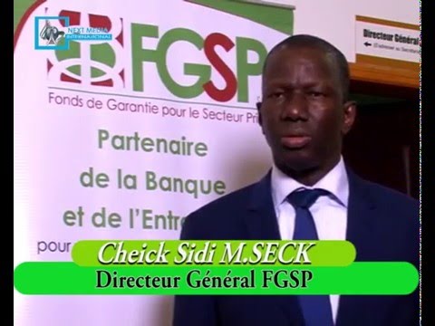 2ème rencontre du FGSP-SA avec les patrons des banques et établissements financiers : 33 milliards de FCFA mobilisés pour financer près de 1100 PME-PMI