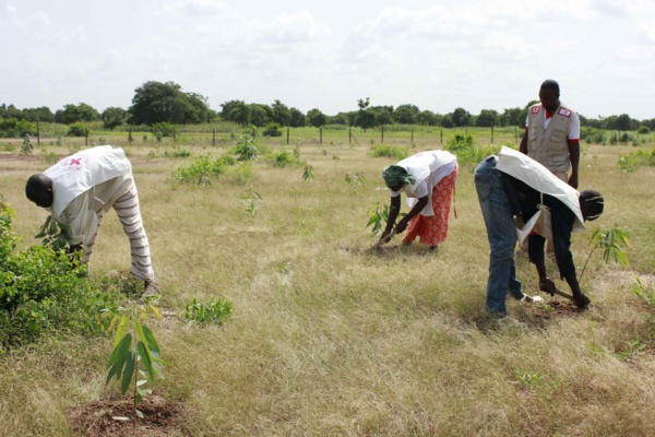 Changement climatique au Mali : Un nouveau projet d’atténuation estimé à 176 millions de CFA Changement climatique au Mali : Un nouveau projet d’atténuation estimé à 176 millions de CFA