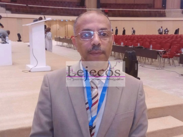 IMED HAMDI, DIRECTEUR DE LA FTSA : « La Tunisie post révolution veut surtout travailler avec l’Afrique subsaharienne » IMED HAMDI, DIRECTEUR DE LA FTSA : « La Tunisie post révolution veut surtout travailler avec l’Afrique subsaharienne »
