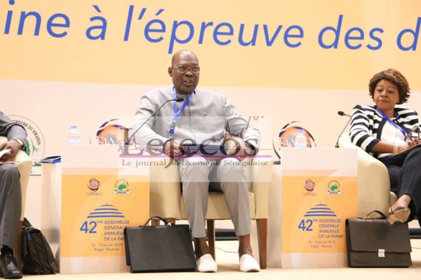 ADAMA NDIAYE PRESIDENT DE LA FANAF : « Il faut qu’on se regroupe pour bâtir de grands ensembles »