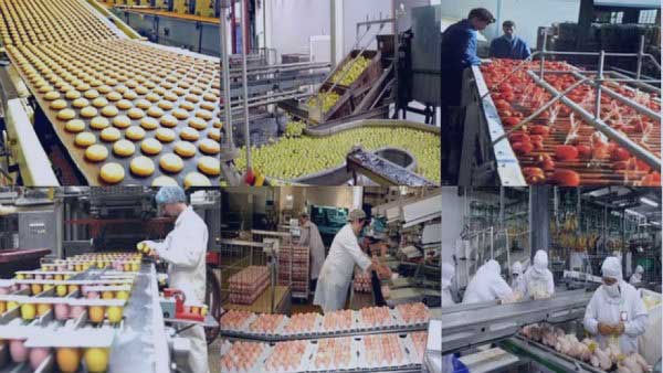 Production agropastorale du Mali : Comment relever le niveau de transformation ? Production agropastorale du Mali : Comment relever le niveau de transformation ?