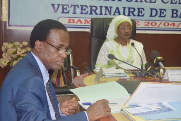 Développement de l’élevage : Le LCV en quête de 17 milliards de FCFA pour son plan stratégique Développement de l’élevage : Le LCV en quête de 17 milliards de FCFA pour son plan stratégique