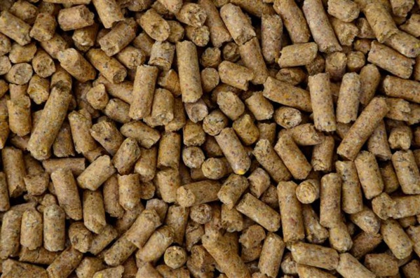 Mali : « Le Paiement de la TVA de 18% contribue à renchérir le coût d’acquisition de l’aliment bétail » Mali : « Le Paiement de la TVA de 18% contribue à renchérir le coût d’acquisition de l’aliment bétail »