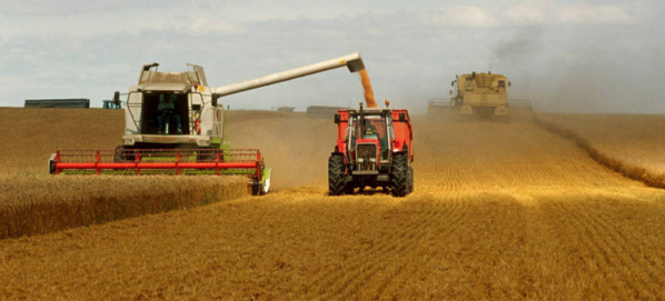 Les polluants issus de l’agriculture représentent une menace sérieuse pour l’eau du monde entier Les polluants issus de l’agriculture représentent une menace sérieuse pour l’eau du monde entier