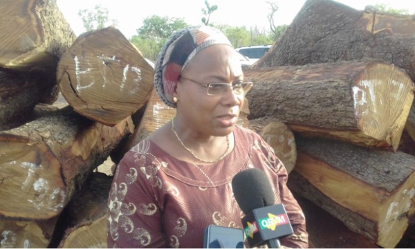 Fonds climat au Mali: Lancement du «3ème appel à propositions de projets Fonds climat au Mali: Lancement du «3ème appel à propositions de projets