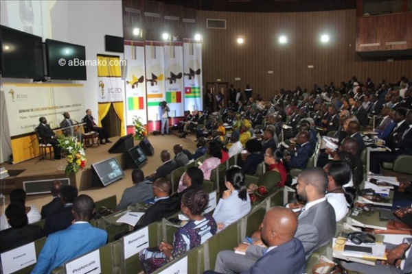 Mali : Eclairage sur la Stratégie Régionale d’Inclusion Financière de la BCEAO Mali : Eclairage sur la Stratégie Régionale d’Inclusion Financière de la BCEAO
