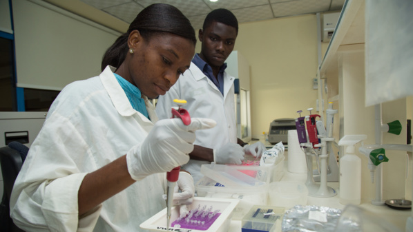 Des chercheurs à l'Institut de recherche Crops (CSIR-CRI) au Ghana. © Dasan Bobo/Banque mondiale Des chercheurs à l'Institut de recherche Crops (CSIR-CRI) au Ghana. © Dasan Bobo/Banque mondiale