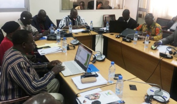 Promotion d’une agriculture innovante : La Fao s’engage à soutenir le Coraf Promotion d’une agriculture innovante : La Fao s’engage à soutenir le Coraf