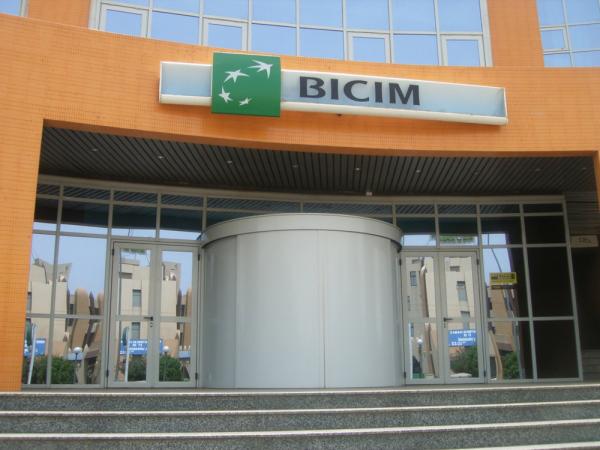 Mali : BICIM et le groupe BNP Paribas au service de l’art