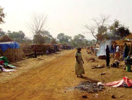 Mali :  « Il ne peut pas y avoir de développement économique de notre pays et de croissance économique sans le respect de l’environnement » selon le Premier ministre