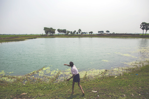 Photo PNUD Inde/Prashanth Vishwanatha Un étang dans le village de Dhokandpur, en Inde, collecte l'eau de pluie qui est ensuite utilisée par les villageois uniquement pour boire