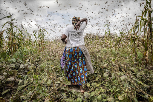 Cette menace (trop) silencieuse qui pèse sur l’Afrique Cette menace (trop) silencieuse qui pèse sur l’Afrique
