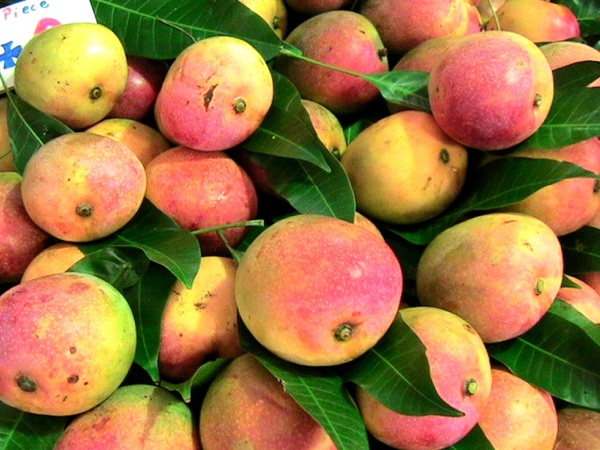 Mali : L’Ifc octroie un financement de 2 millions d’euro au Cediam Mali : L’Ifc octroie un financement de 2 millions d’euro au Cediam