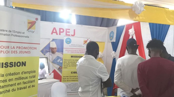 Marché de l’emploi : L’APEJ sensibilise les jeunes à saisir la perche de l'entreprenariat Marché de l’emploi : L’APEJ sensibilise les jeunes à saisir la perche de l'entreprenariat