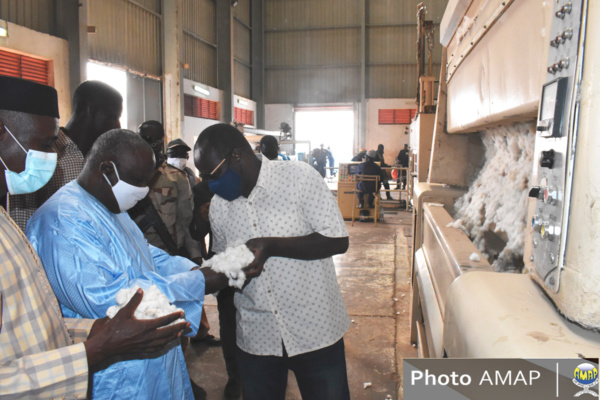 Production cotonnière : Le vieux défi de la transformation locale Production cotonnière : Le vieux défi de la transformation locale