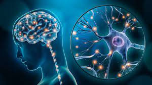 Notre santé: Parkinson : Une destruction des neurones Notre santé: Parkinson : Une destruction des neurones