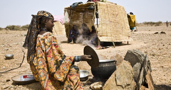 Lutte contre les crises alimentaires dans le Sahel : Différentes organisations promettent une aide financière d’un montant de 2,5 milliard d’euros
