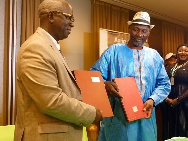 Banques : La BNDA lance l’offre innovante « Agriculture prospère » Banques : La BNDA lance l’offre innovante « Agriculture prospère »