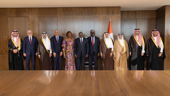 Accroissement du cofinancement et de l’investissement en Afrique : La Bad et le Groupe de coordination arabe lancent un partenariat stratégique