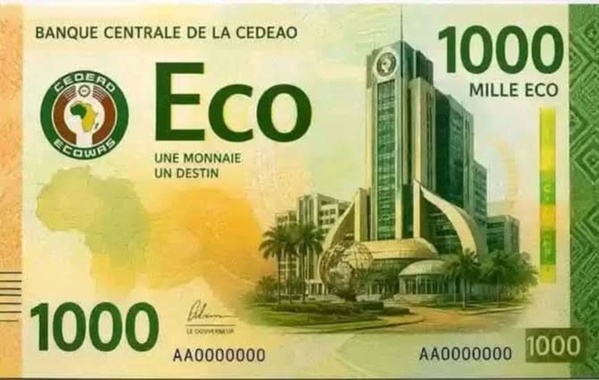 La monnaie commune africaine se fait toujours attendre