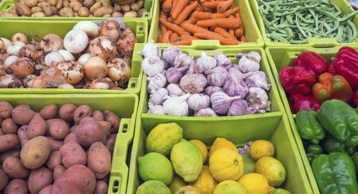 Industrie : Bougouni se dote d’une unité de séchage et de stockage de fruits et légumes