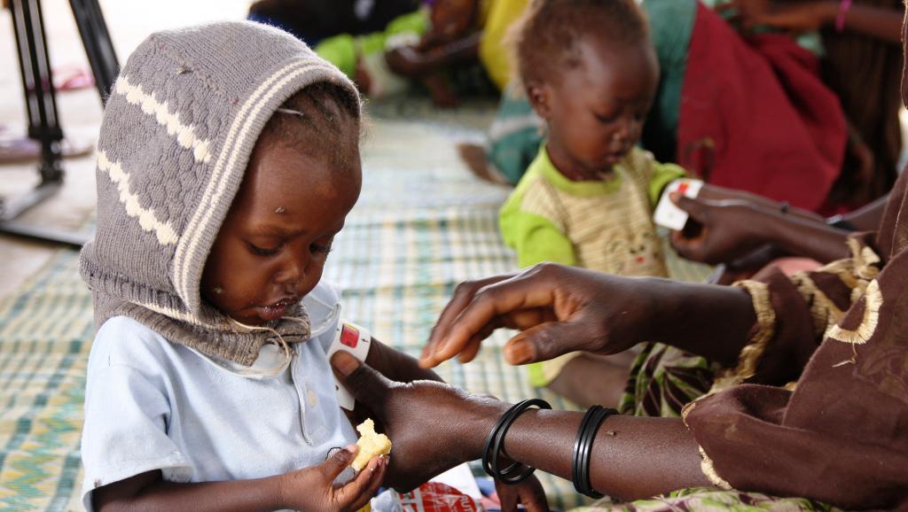Alimentation : La malnutrition représente un coût insupportable pour l’Afrique