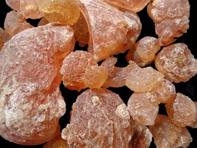 ASSEMBLEE GENERALE CONSTITUTIVE DE LA FILIERE GOMME ARABIQUE AU MALI : 183 sociétés coopératives de producteurs  désormais opérationnelles