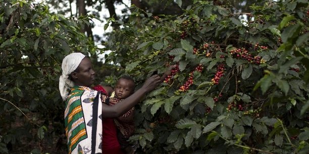 Femme, africaine et agricultrice, face au changement climatique : Oxfam tire la sonnette d'alarme