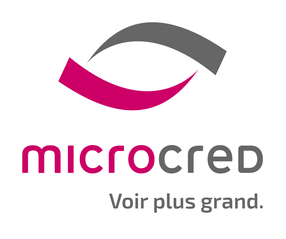 Microcred : Un encours de crédits de 22.3 milliards de FCFA enregistrés en 2017