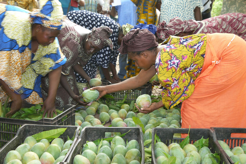 De plus en plus populaires, les fruits tropicaux représentent une opportunité pour les pays en développement selon la FAO