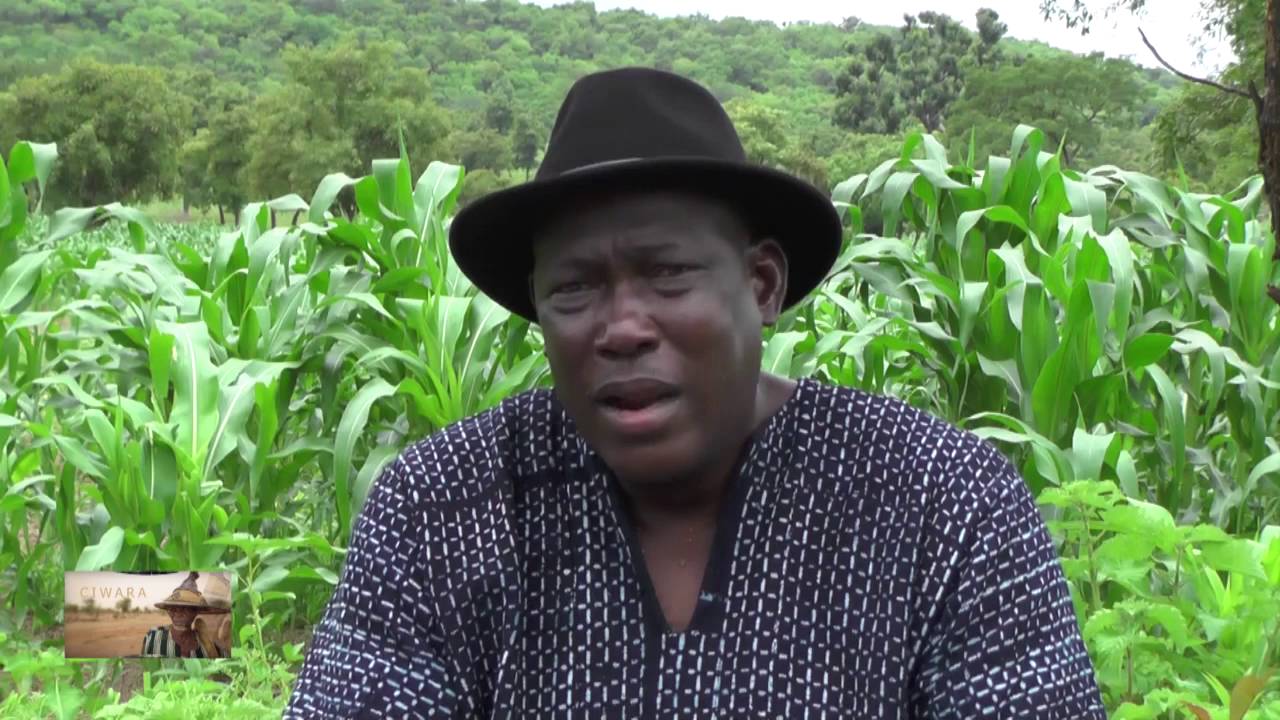Visite du 10ème contingent de l’APEJ à la ferme de Bakary Togola : 150 jeunes diplômés affichent leurs volontés de retourner à la terre Visite du 10ème contingent de l’APEJ à la ferme de Bakary Togola : 150 jeunes diplômés affichent leurs volontés de retourner à la terre