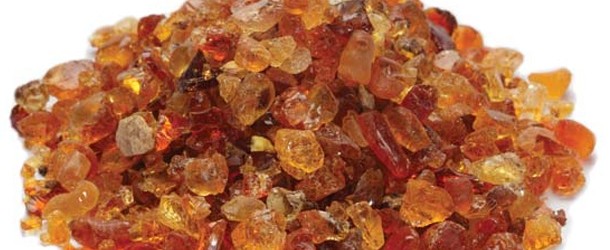 Filière gomme arabique : L’API-Mali suscite l’intérêt d’y investir