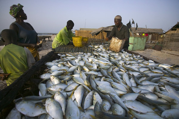 Pêche: Un projet d’appui de plus 5,2 milliards de FCFA financé par l’Union européenne