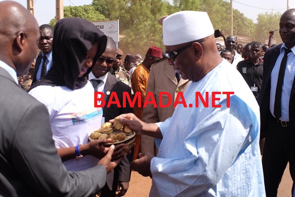 Mali : Le  plan de financement de la campagne agricole 2018-2019 chiffré  à 353,7 milliards de francs