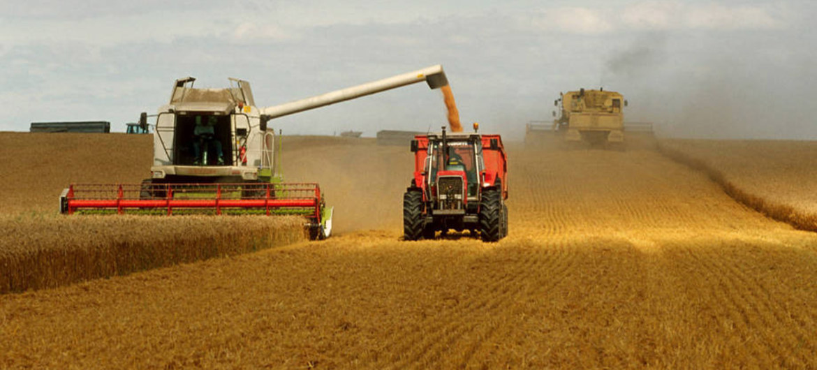 Les polluants issus de l’agriculture représentent une menace sérieuse pour l’eau du monde entier Les polluants issus de l’agriculture représentent une menace sérieuse pour l’eau du monde entier