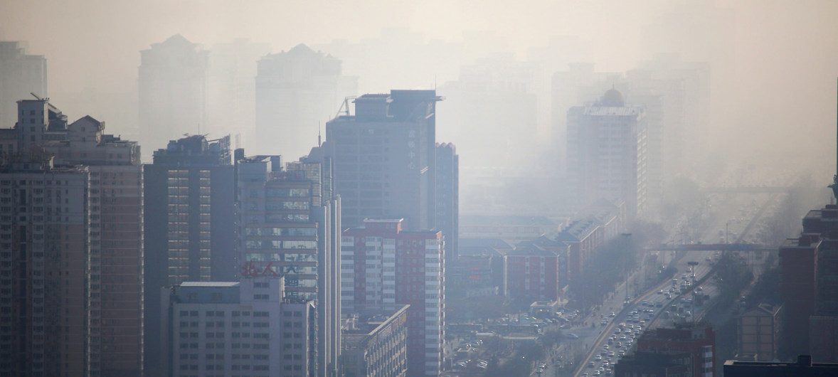 Objectifs de développement durable : ONU Habitat invite les villes à aller plus vite