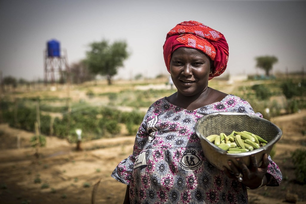 Photo MINUSMA/Harandane Dicko Une femme au Mali avec des légumes qu'elle a récoltés.