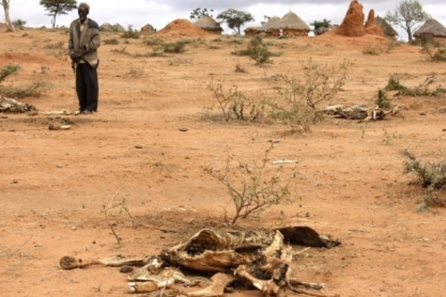 Programme d’urgence COVID-19 : Le BMZ assure les pays africains contre la sécheresse
