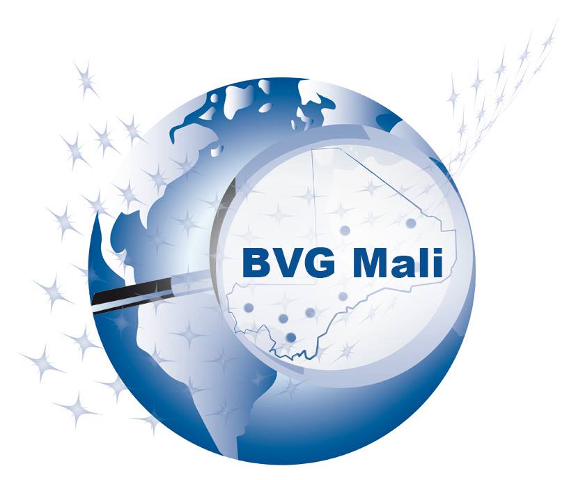 Vérification financière dans certains services maliens : Le Bvg note un manque de transparence dans la tenue de la comptabilité publique