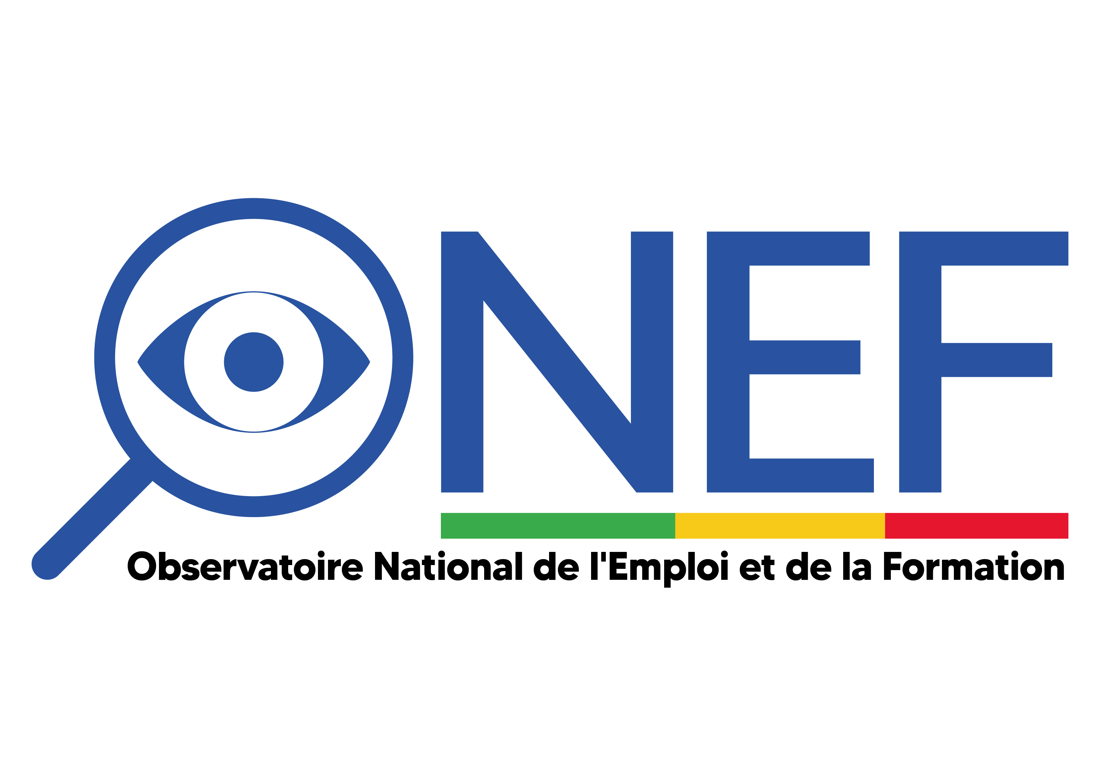 Observatoire National de l’Emploi et de la Formation au Mali : Le taux d’insertion des sortants certifiés est de 65,5%