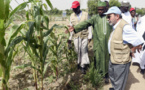 Bassin du lac Tchad : La FAO préconise des investissements dans l'agriculture Bassin du lac Tchad : La FAO préconise des investissements dans l'agriculture