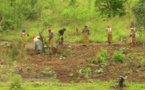 Autosuffisance alimentaire en Afrique :La science au cœur d’un agenda continental