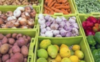 Industrie : Bougouni se dote d’une unité de séchage et de stockage de fruits et légumes