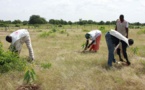 Changement climatique au Mali : Un nouveau  projet d’atténuation  estimé à  176 millions de CFA